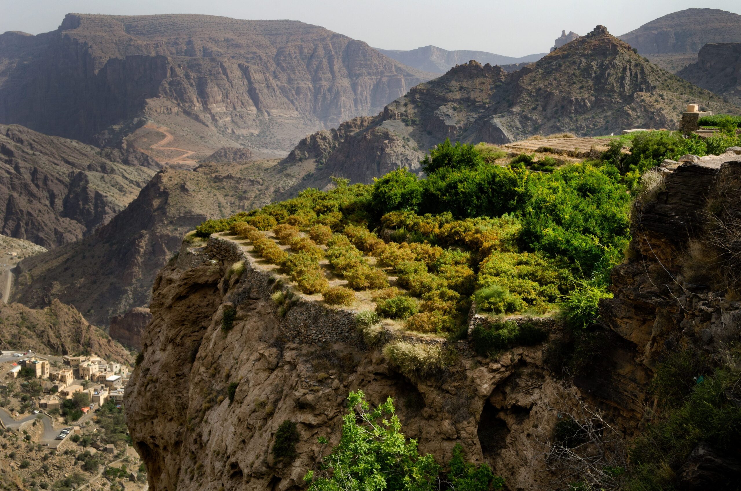 Wadi Shab (1)